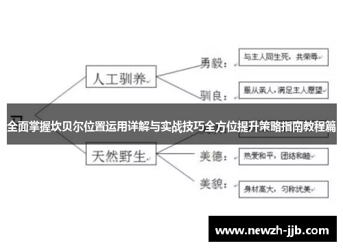 全面掌握坎贝尔位置运用详解与实战技巧全方位提升策略指南教程篇